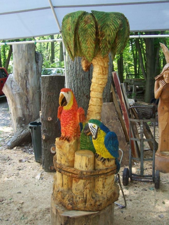 Two Parrots In A Palm Tree