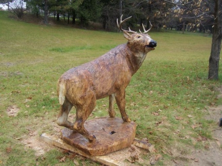 Deer of Hunter