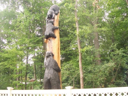 bears-in-a-tree